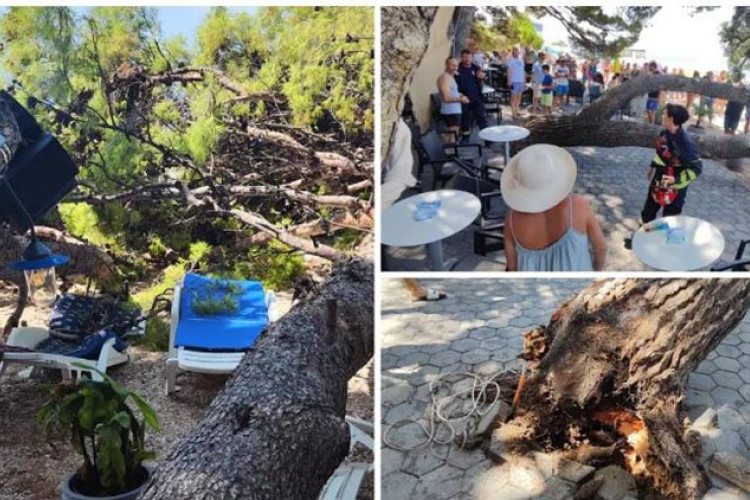 NESREĆA U LJETOVALIŠTU U HRVATSKOJ: Palo stablo na plaži u Baškoj Vodi, ima povrijeđenih