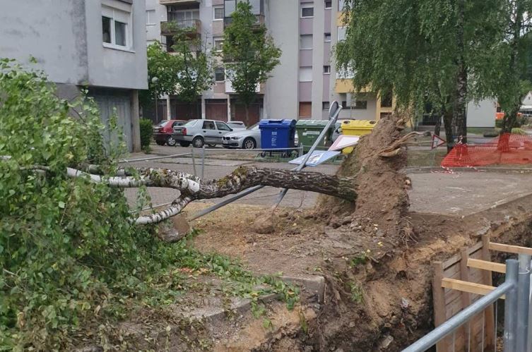 Nevrijeme u Hrvatskoj: Snažan vjetar čupao stabla iz korijena (FOTO)
