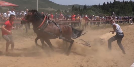 Potukli se na štraparijadi, pa prijetili policajcu