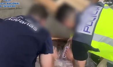 REKORDNA ZAPLENA KOKAINA U ISTORIJI ŠPANIJE: Iza Pošiljke "banana" stoji BALKANSKI KARTEL (VIDEO)