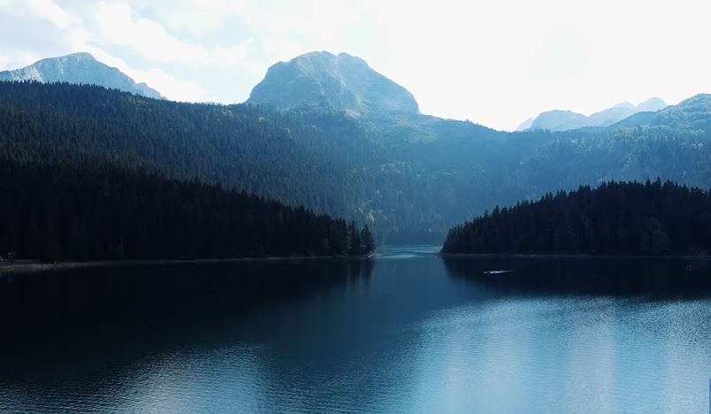 SKANDAL U CRNOJ GORI: U Nacionalnom parku Durmitor otkrivena devastacija šume (FOTO/VIDEO)