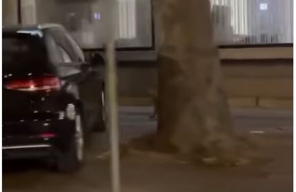 ŠOK-SNIMAK SA DORĆOLA: Otkud ova divlja zvjerka u centru Beograda (VIDEO)