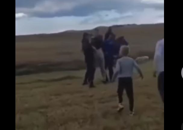 KAD TI ŽABLJAČANI PRUŽE PRVU POMOĆ I MRTAV BI USTAO! Džokej pao s konja i ostao nepomično da leži: Reakcija prisutnih sve ostavila u ŠOKU! (VIDEO)