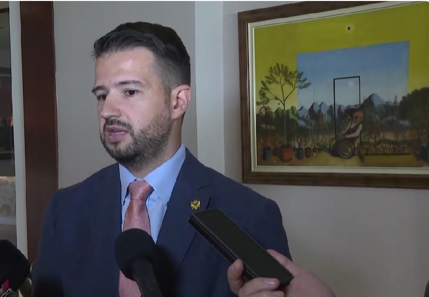 Milatović: Crna Gora je lider u evropskim integracijama! Težimo punopravnom članstvu u EU!