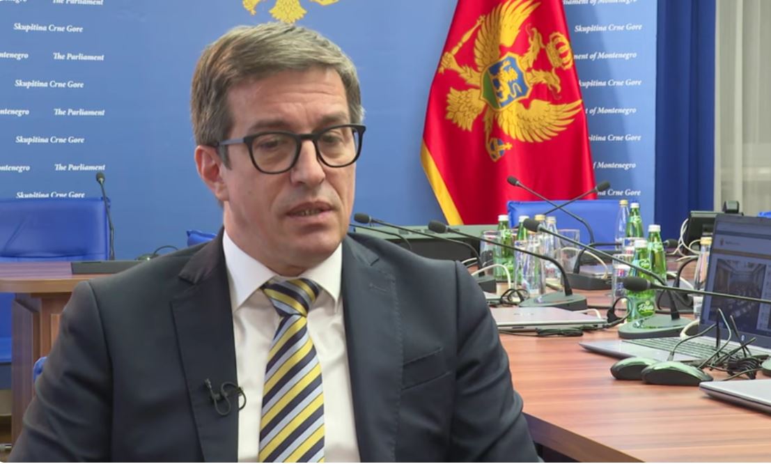 "Česti vanredni lokalni izbori, znak je političke nezrelosti" Dobričanin: Milatović i Spajić moraju prevazići sukob