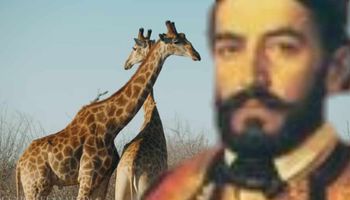 Marko Petrović Njegoš, iz afričke zemlje Safari, zbogom žohari