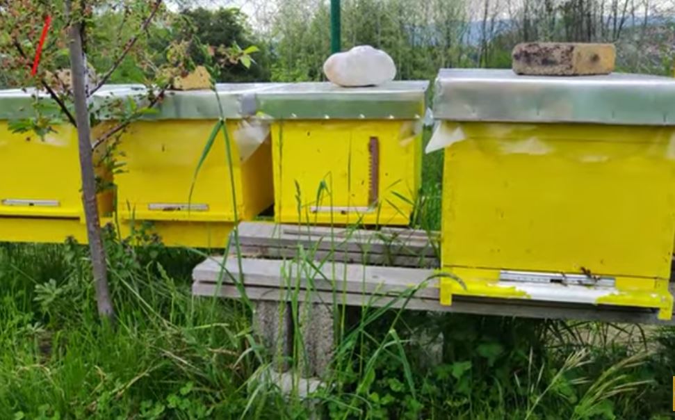 OTKRIVENO 400.00 LAŽNIH KOŠNICA! Država rešena da stane na rep prevarantima