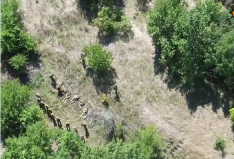 RUSI OTKRILI BAZU "KRAKENOVACA" Uslijedio horor! Ukrajinske formacije izgubile su do 130 vojnika i britansku samohodnu artiljerijsku jedinicu