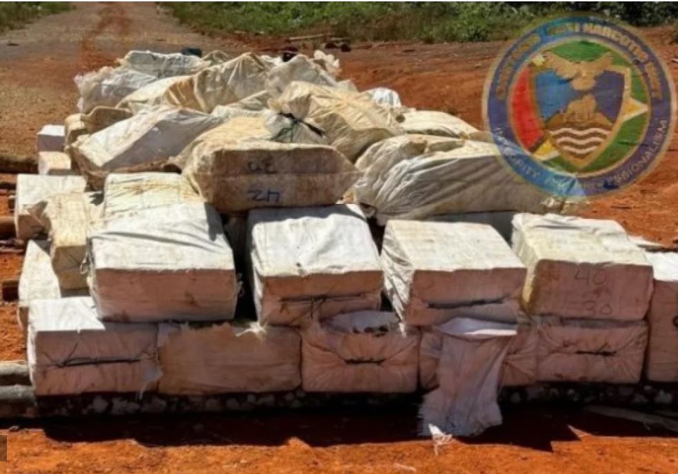 U DŽUNGLI ZAPLIJENJENO 3,6 TONA KOKAINA: Droga bila vješto sakrivena