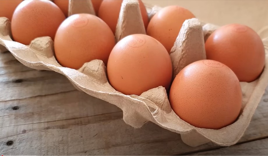 Salmonela na farmi: Povlače se jaja iz poznatog trgovačkog lanca u Hrvatskoj