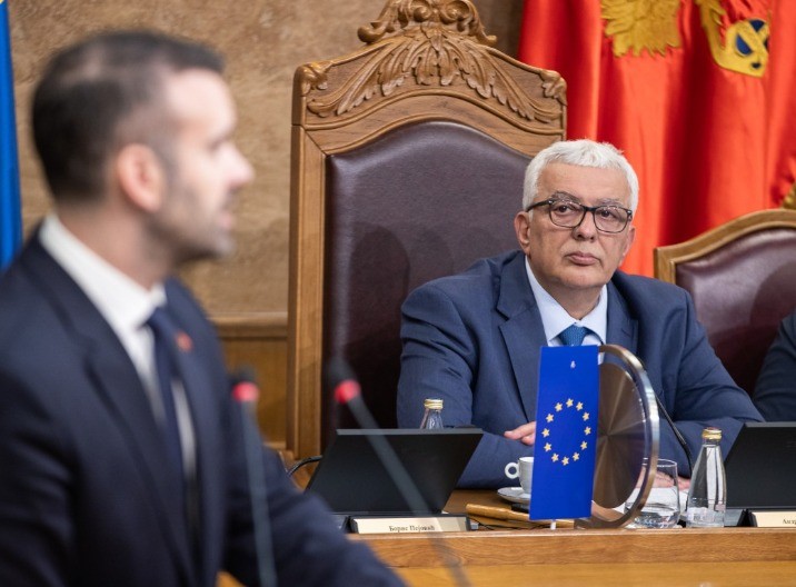 SPAJIĆU, DOSTA IZGOVORA: Srpski jezik je volja naroda, a ne Sizifov posao