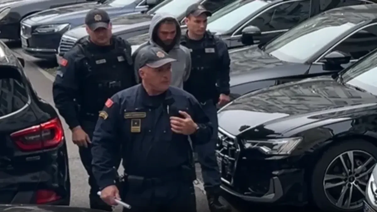 JEZIVI DETALJI IZ PODGORICE Misterija trostrukog ubistva: Sačekao da zaspu pa ih usmrtio?! Svi pričaju o motivu svirepog zločina!