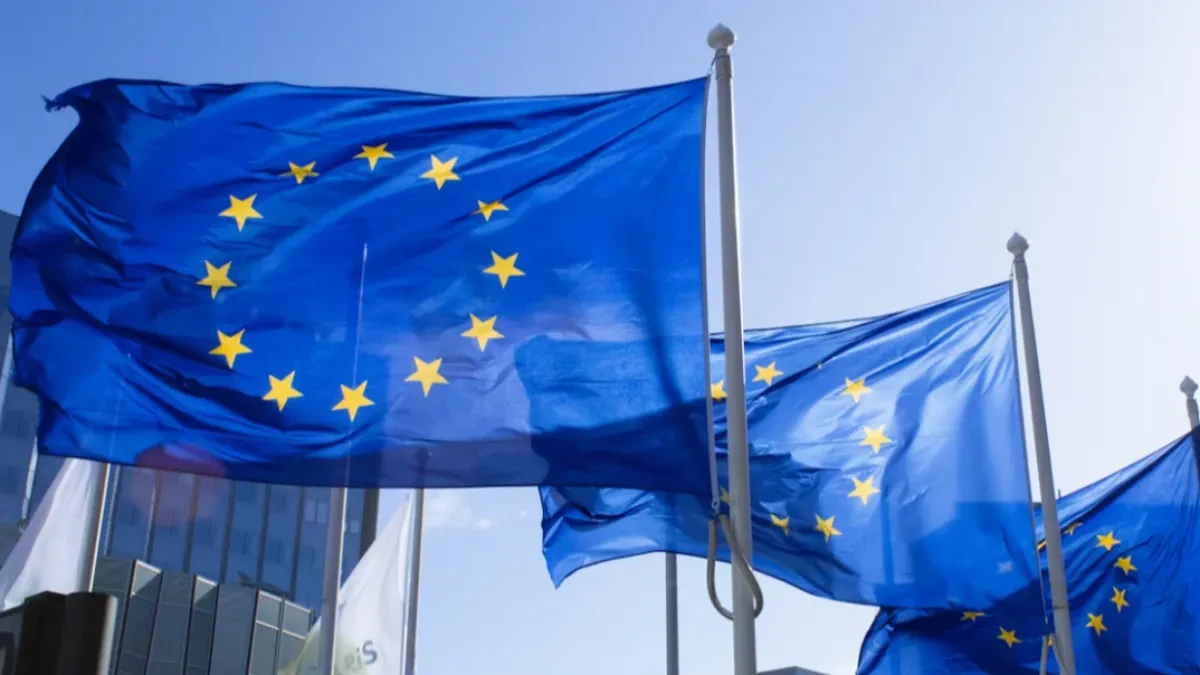 IZVJESTILAC EVROPSKOG PARLAMENTA: Manje priče o jeziku i trobojci zbog EU puta Crne Gore