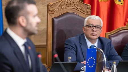 Otvoreno pismo Mandiću: Zašto ste podržali formulaciju o „nasilnoj aneksiji“ Crne Gore?